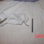 Chinese woman found dead in hotel bed