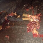 Completely crushed by truck while trying to cross road