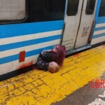 Couple fatally struck by train