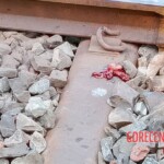 Indian man destroyed by train