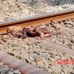 Indian man destroyed by train