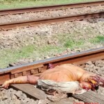 Indian man destroyed by train