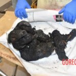 Infants murdered by Hamas