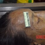 Dead female