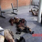 2004 Madrid train bombings