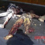 2004 Madrid train bombings