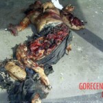 2004 Madrid train bombings