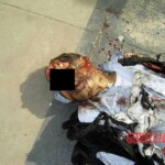2004 Madrid train bombings