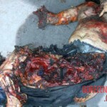 2004 Madrid train bombings