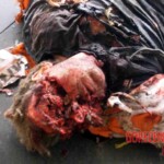 2004 Madrid train bombings