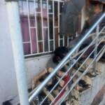 Aftermath of police operation against ISIS cell in Turkey