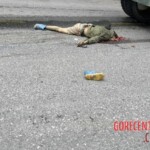 Biker suffered devastating head injuries in collision with dump truck