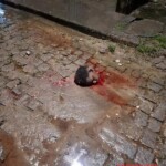 Brazilian gangsters play soccer with severed head of their rival