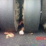 Crushed by road roller during forced demolition