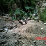 Dead young woman with signs of violence found at bottom of canyon