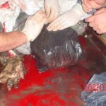 Death of Sheikh Ahmed Ismail Yassin, leader of Hamas militants