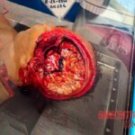 Elderly man commits suicide with butcher's band saw