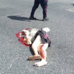 Elderly woman fatally run over by garbage truck