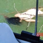 Female tourist drowned in Costa Rica
