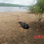 Female tourist drowned in Costa Rica