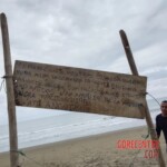 Five severed human heads found displayed on public beach