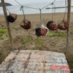 Five severed human heads found displayed on public beach