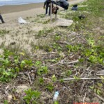 Five severed human heads found displayed on public beach