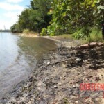 Half-naked woman found dead floating in lake
