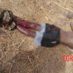 ISIS-affiliated militants launched major attack against Nigerien forces