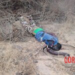 ISIS-affiliated militants launched major attack against Nigerien forces