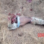 ISIS-affiliated militants launched major attack against Nigerien forces