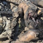 Indian army eliminated militants in Kishtwar area