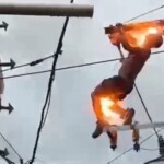 Mentally ill man climbed electrical pole and touched live wires