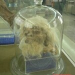 Mummified body exhibited at National Museum of Iran