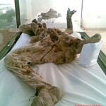 Mummified body exhibited at National Museum of Iran