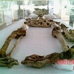Mummified body exhibited at National Museum of Iran