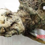 Mummified body exhibited at National Museum of Iran