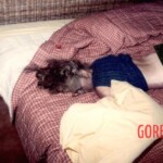 Kathryn Ann Martini-Lissy