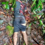Papuan separatists massacred 8 gold miners