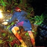 Papuan separatists massacred 8 gold miners