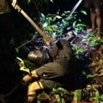 Papuan separatists massacred 8 gold miners