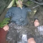 Papuan separatists massacred 8 gold miners