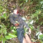 Papuan separatists massacred 8 gold miners