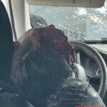 Police officers shot dead couple during chase
