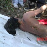 Thai prostitute found dead in lake