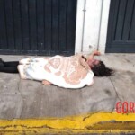 María del Rosario Pérez García
