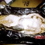 Waco siege victims