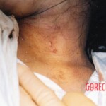 Woman assaulted and murdered by unknown assailant
