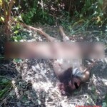Woman found dead in forest, naked and tied