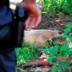 Woman with criminal background found dead